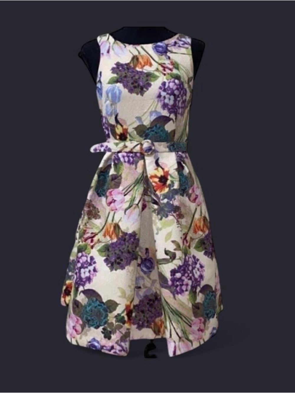 Gabby Skye Floral Multi-Color Dress